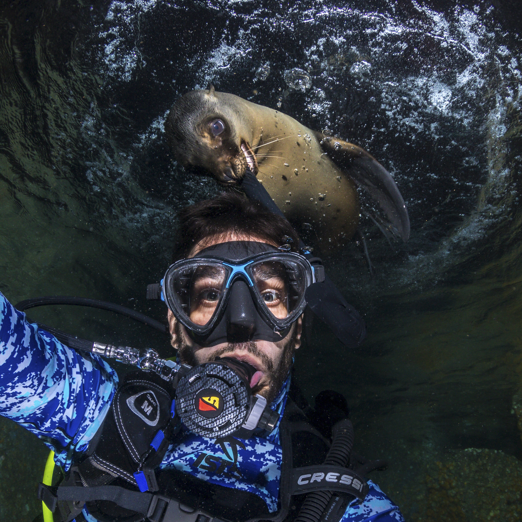 Sea lion pup, Los Islotes. Photo by Frankie Grant