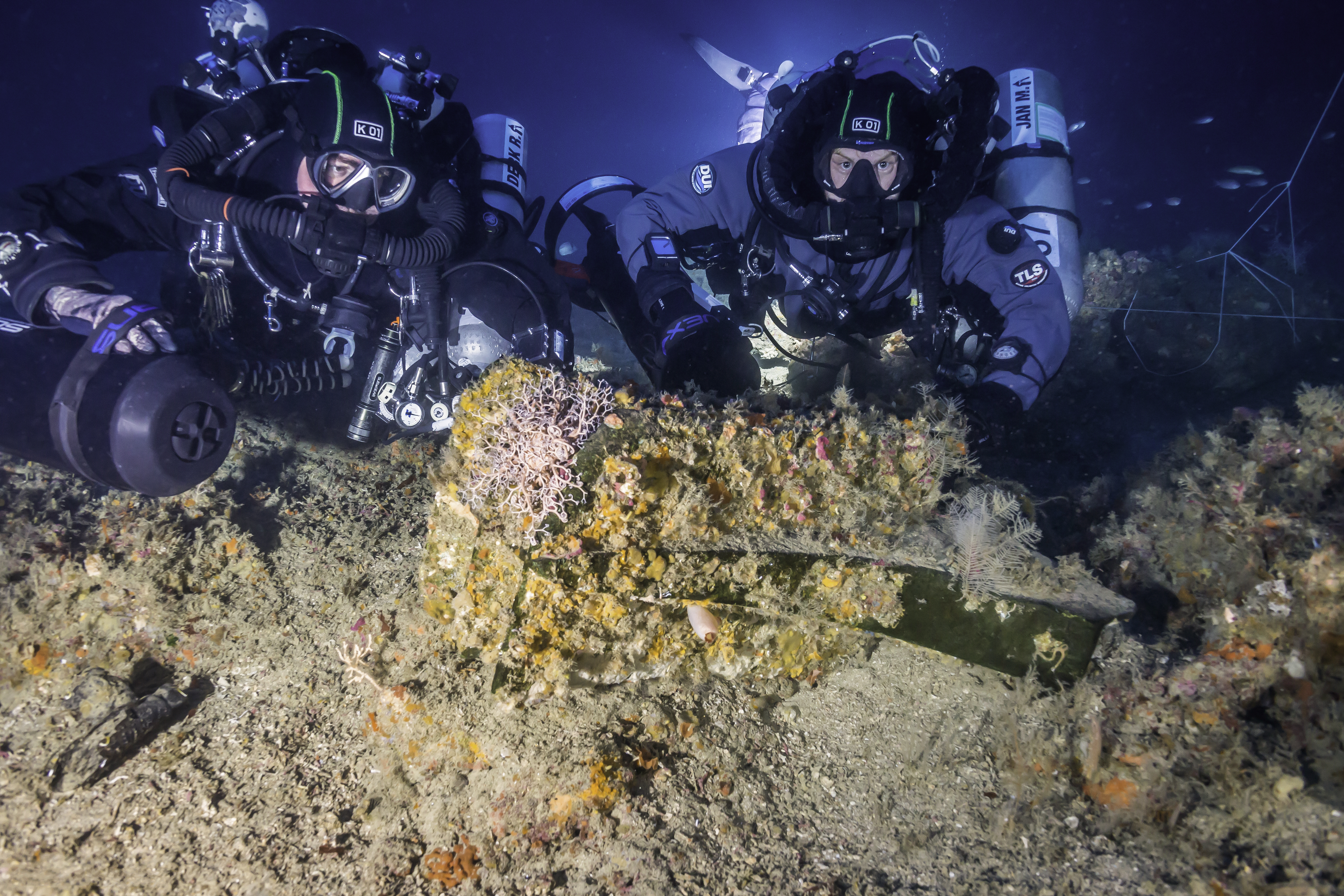 Divers with ram on the sea floor. Photo by Kirill Egorov