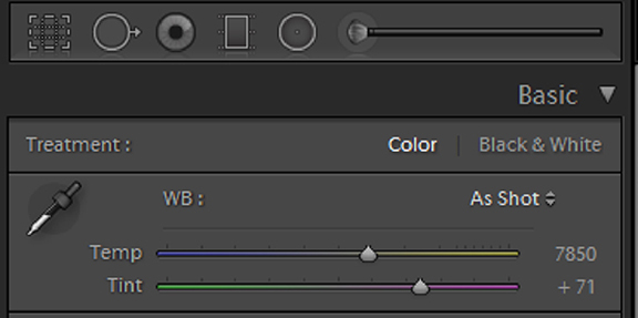 Image 4: White balance sliders in Lightroom. Photo by Rico Besserdich.