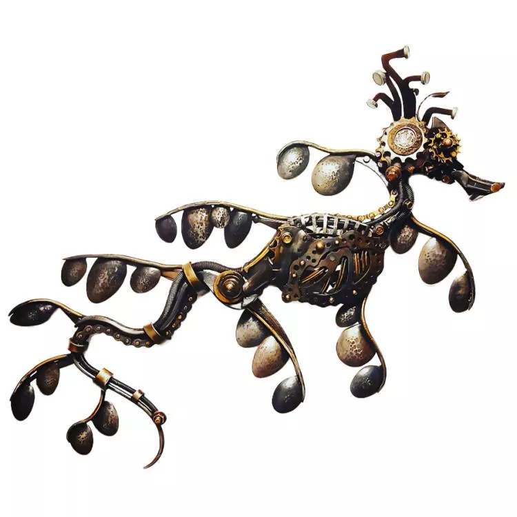 Leafy Seadragon, by Alan Williams